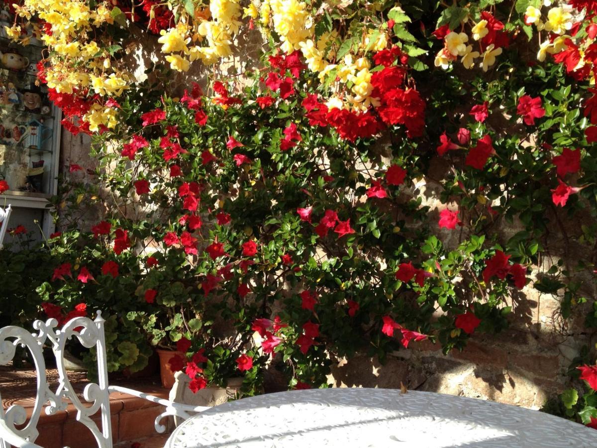 Panorama Guest House St Aubin Exterior photo
